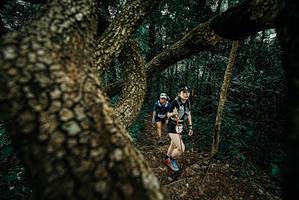 BIB: 
                            <button type="button" onclick="openModal(25695916)" class="btn btn-primary btn-sm float-right btn-popup" data-toggle="modal" data-target=".modal-high-quality">
                        <i class="fas fa-shopping-cart"></i> Add to Cart
                    </button>
                                            <button type="button" onclick="isThisMe(25695916, true)" class="btn btn-success btn-sm float-right btn-popup btn-isme hidden" data-toggle="tooltip" data-placement="bottom" title="นี่คือรูปของคุณใช่ไหม คลิกที่นี่เพื่อเอาเข้าอัลบั้ม">
                        <i class="fas fa-plus"></i> Add to album
                    </button>
                    <button type="button" onclick="isThisMe(25695916, false)" class="btn btn-warning btn-sm float-right btn-popup btn-isnotme hidden">
                        <i class="fas fa-ban"></i> Remove from album
                    </button>